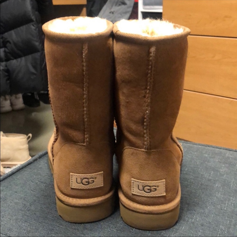 Short Chestnut Uggs